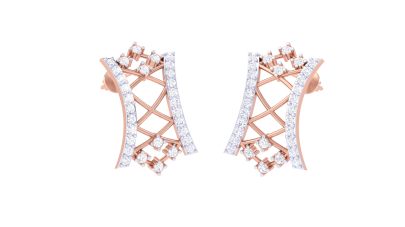 The Dazzling Wynter Earrings 0