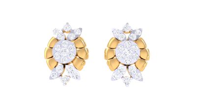 The Fashionable Xiomara Earrings 1